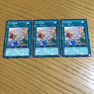 化石調査 ノーマル　3枚セット