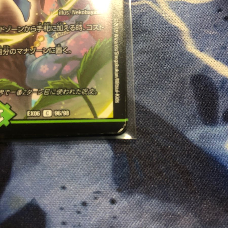 フェアリーライフ ４枚 ④