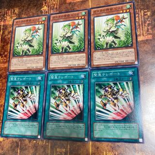 遊戯王★緊急テレポート、ガスタ の神裔　ピリカ★ノーマル各三枚★