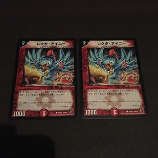 在庫処分セール　レクタアイニー　2枚セット