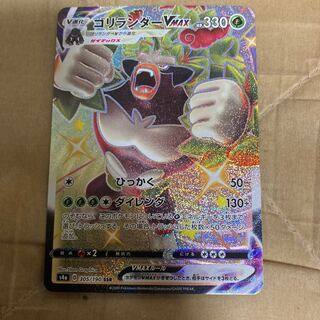 専用ゴリランダーVMAXとマッギョ