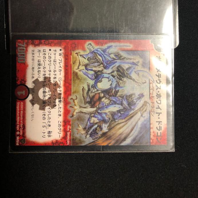 ボルメテウス・ホワイト・ドラゴン 初期