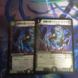 緊縛の影バインド・シャドウ C