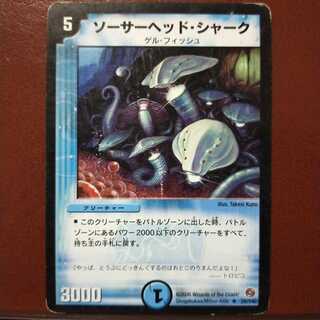 セット割引　ソーサーヘッド・シャーク