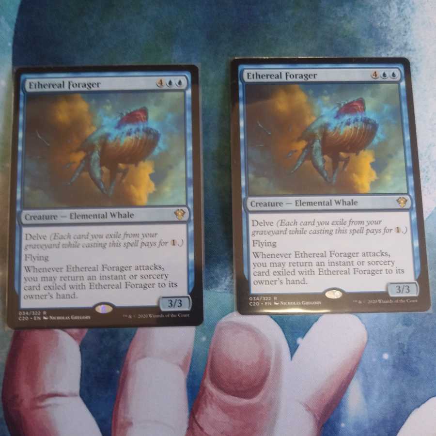 天上の餌あさり　二枚