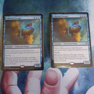 天上の餌あさり　二枚