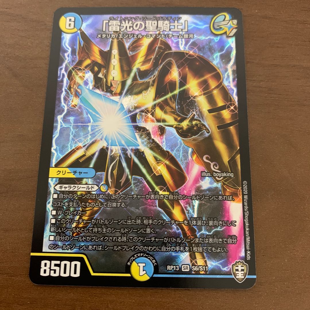 「雷光の聖騎士」