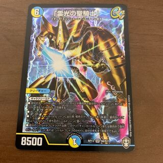 「雷光の聖騎士」