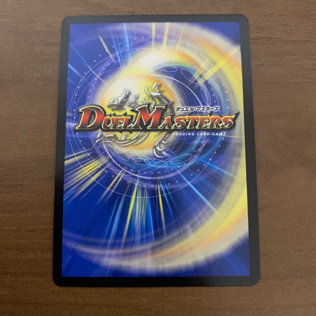 「雷光の聖騎士」