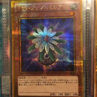 グローアップバルブ ゴルシク