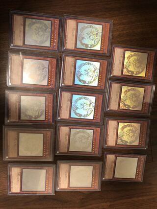 Dark Magician Girl Holographic 14-Piece Set