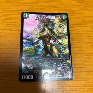 ガンヴィー龍樹