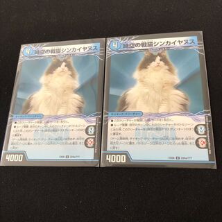 時空の戦猫シンカイヤヌス｜時空の戦猫ヤヌスグレンオー