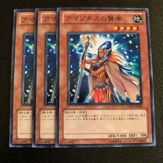 アマゾネスの賢者 ノーマル