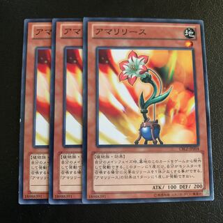 アマリリース ノーマル