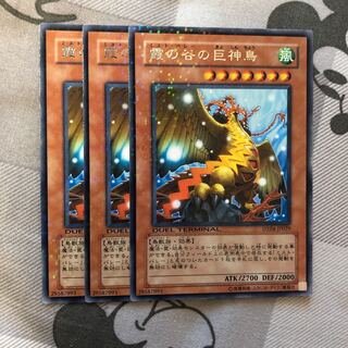 霞の谷の巨神鳥