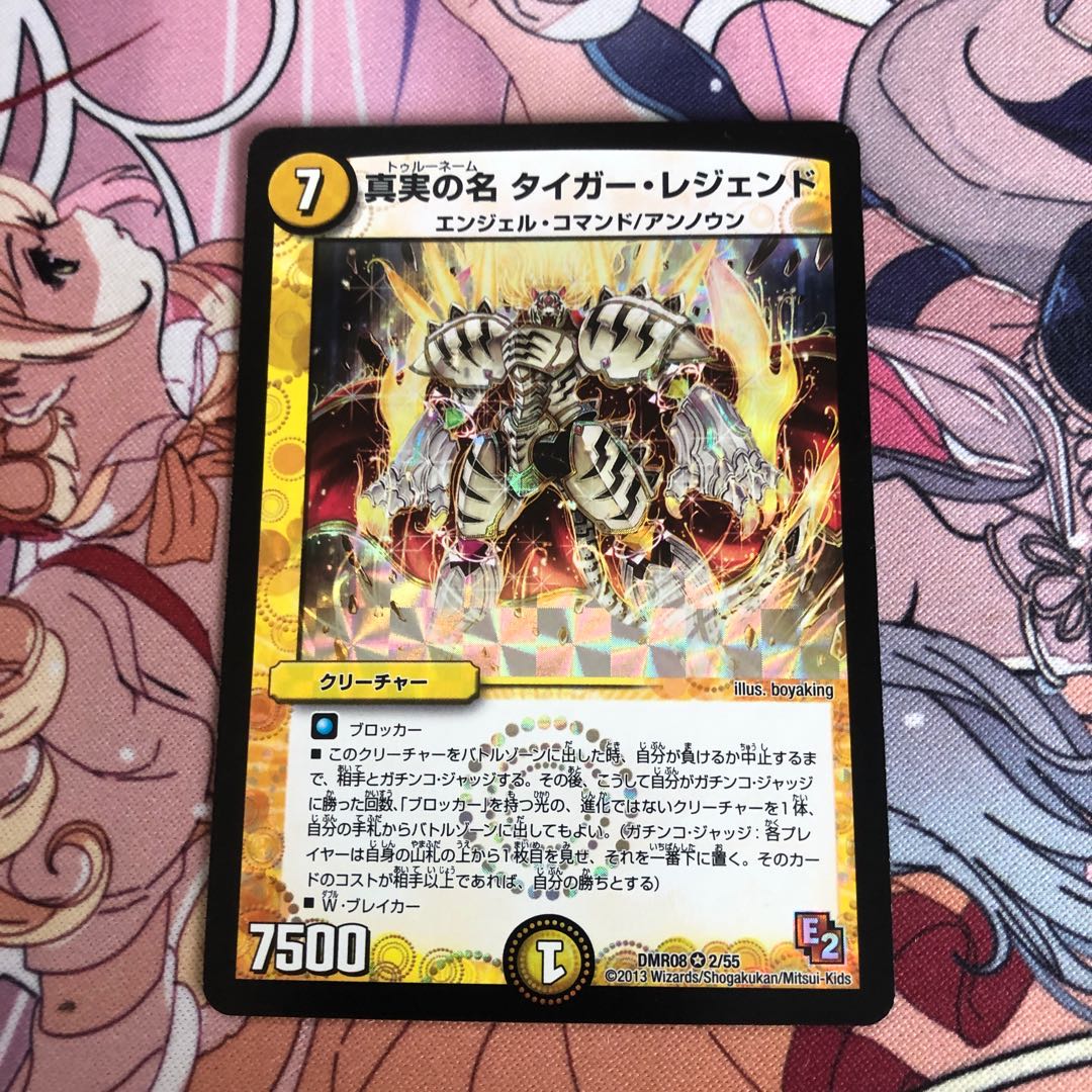 真実の名 タイガー・レジェンド