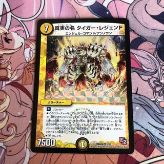 真実の名 タイガー・レジェンド