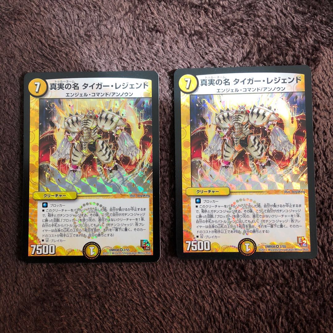 真実の名 タイガー・レジェンド VR 4枚