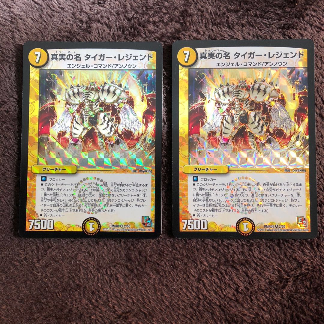 真実の名 タイガー・レジェンド VR 4枚