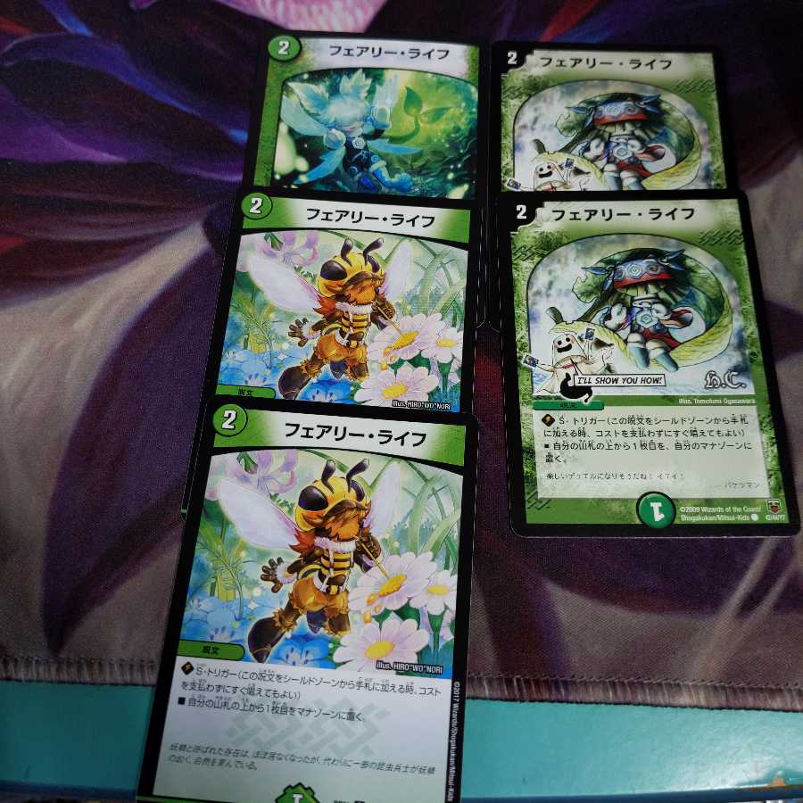 フェアリーライフ 5枚セット