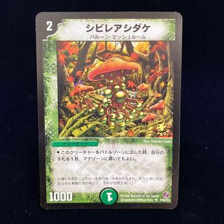 シビレアシダケ プロモ」の激安通販 | magi
