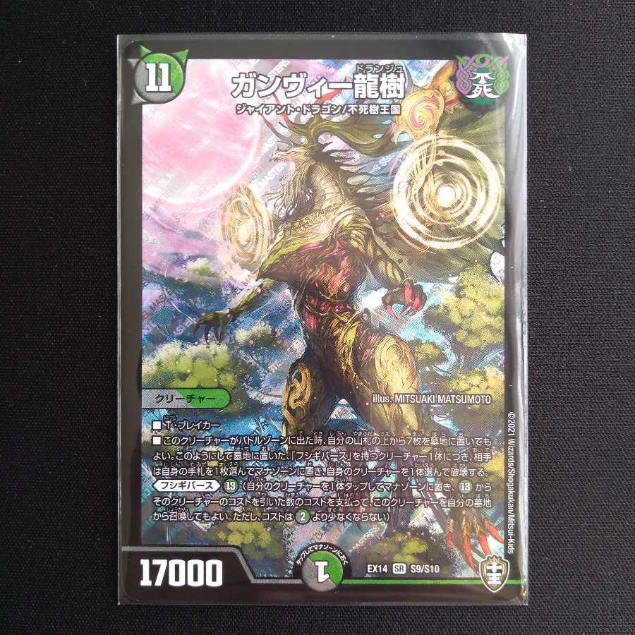 ガンヴィー龍樹