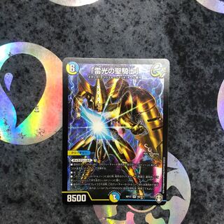 「雷光の聖騎士」