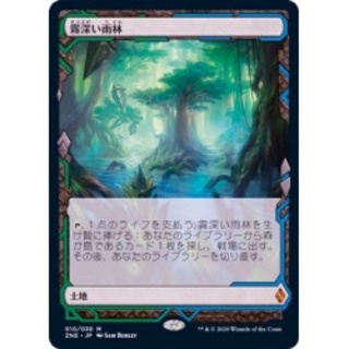 (フルアート)霧深い雨林/Misty Rainforest《日本語》【ZNE】