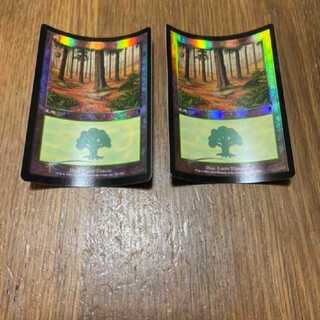 MTG Forest JP2 Foil Model No. O-1