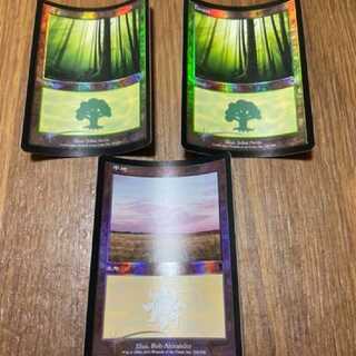 MTG Forest Plains 2 JP 1 EN 1 Foil Model No. O-6
