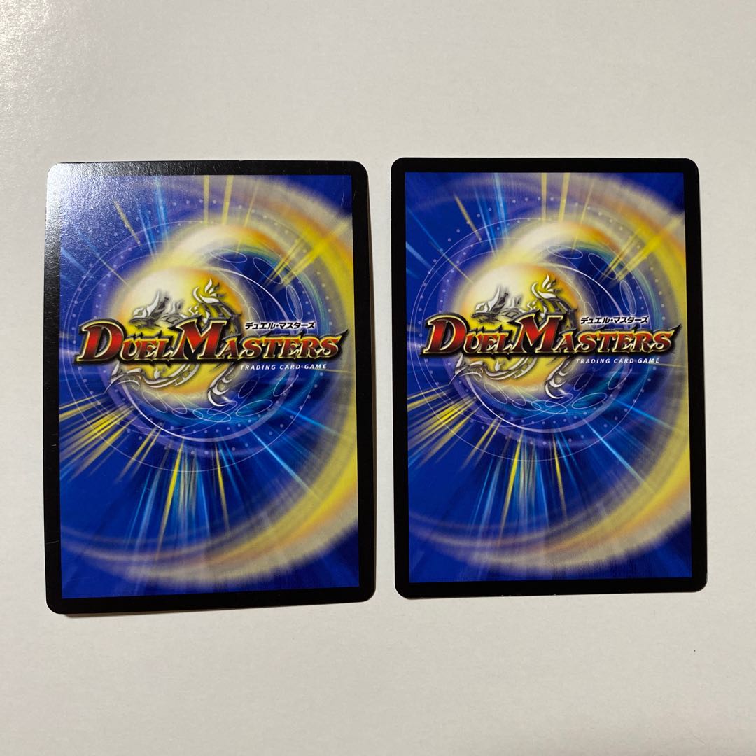 煌龍 サッヴァーク 2枚セット