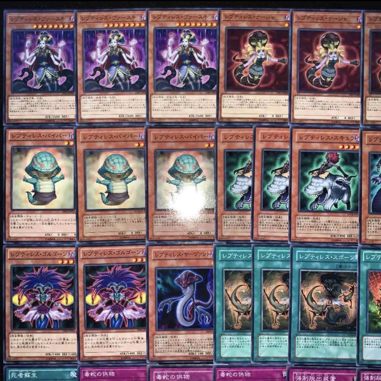 ガチ構築！！レプティレスデッキ40枚+EX15