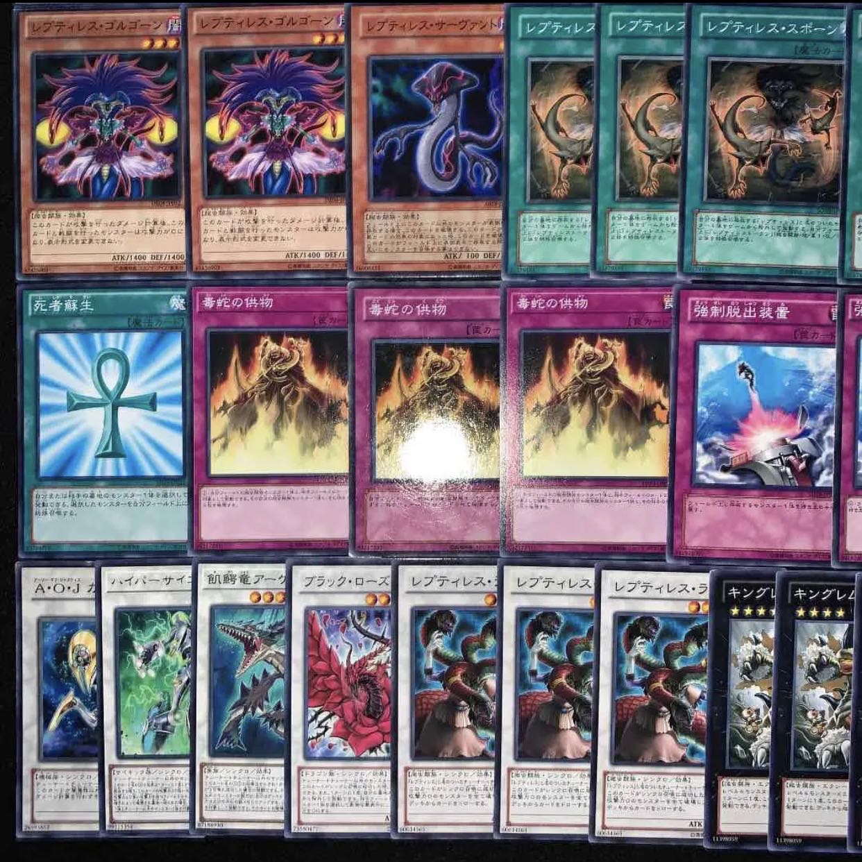 ガチ構築！！レプティレスデッキ40枚+EX15