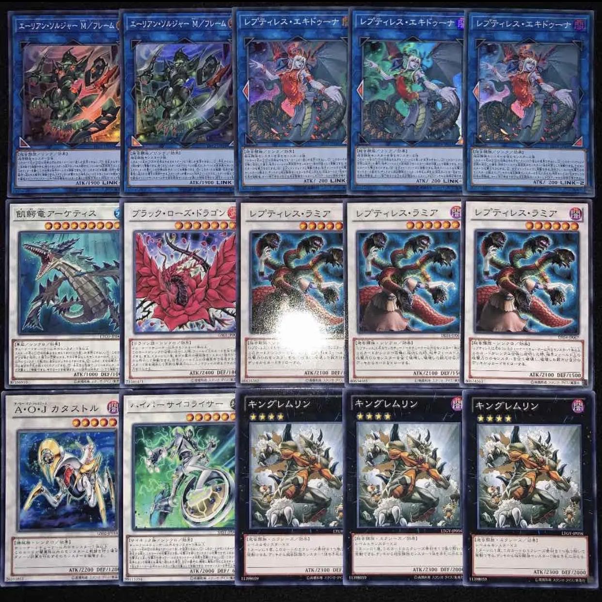 ガチ構築！！レプティレスデッキ40枚+EX15