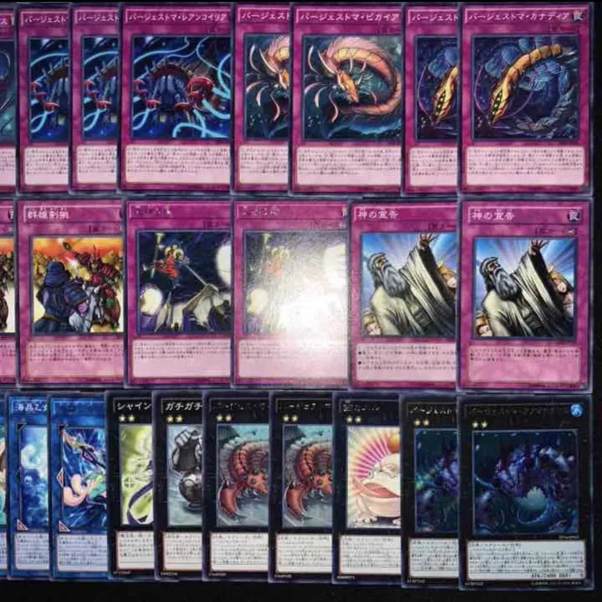 ガチ構築！！カエルバージェストマデッキ40枚+EX15