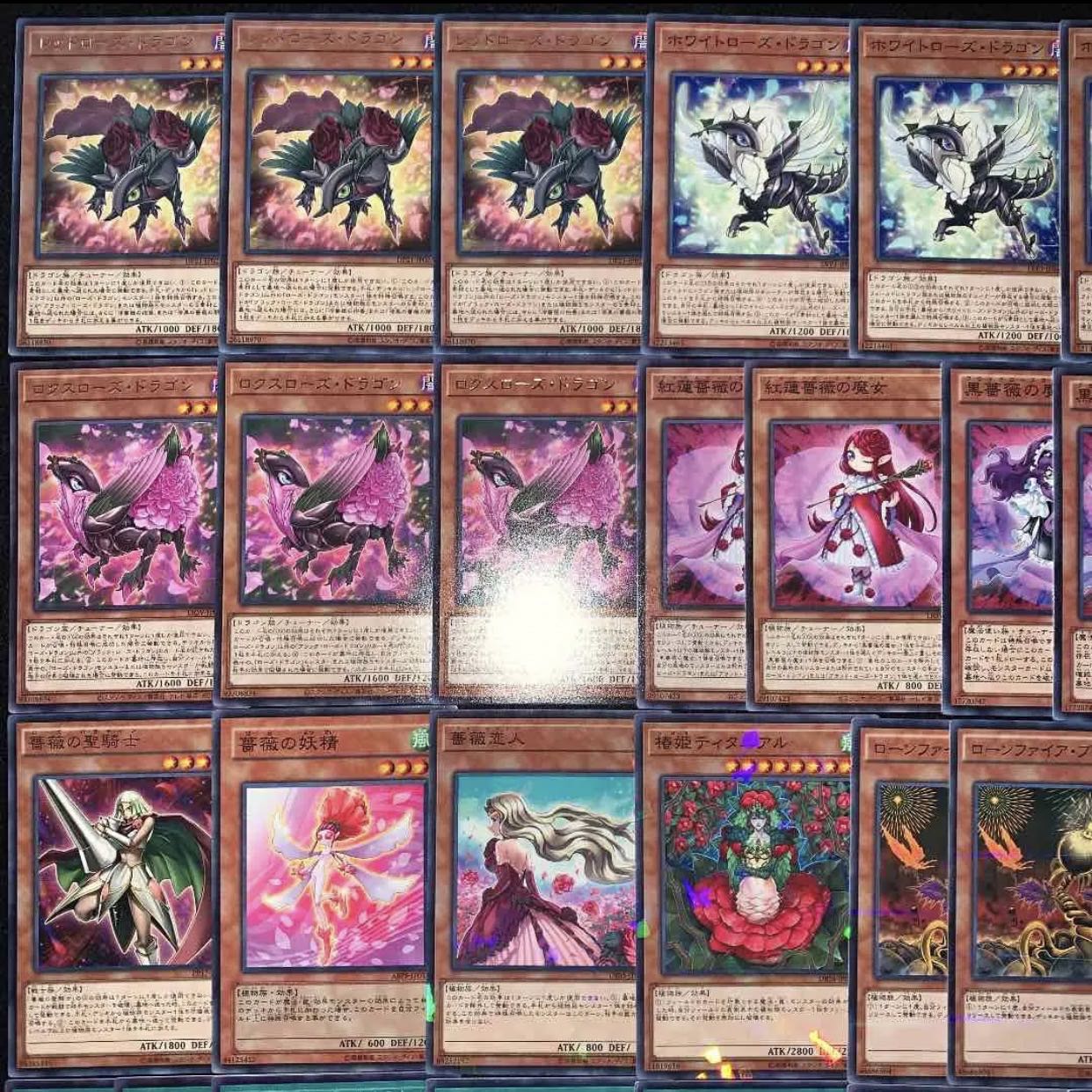 ガチ構築！！ローズドラゴンデッキ40枚+EX15枚