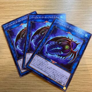 バージェストマ・カンブロラスター ノーマル