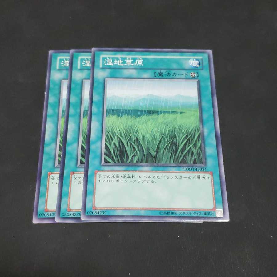 湿地草原 ノーマル 遊戯王 虎ふぐ