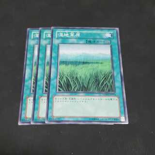 湿地草原 ノーマル 遊戯王 虎ふぐ