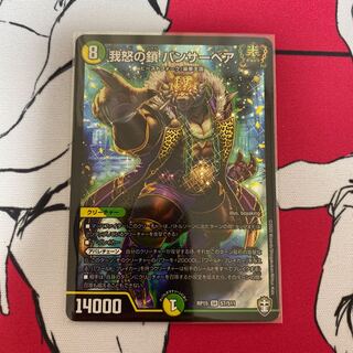 我怒の鎖 パンサーベア