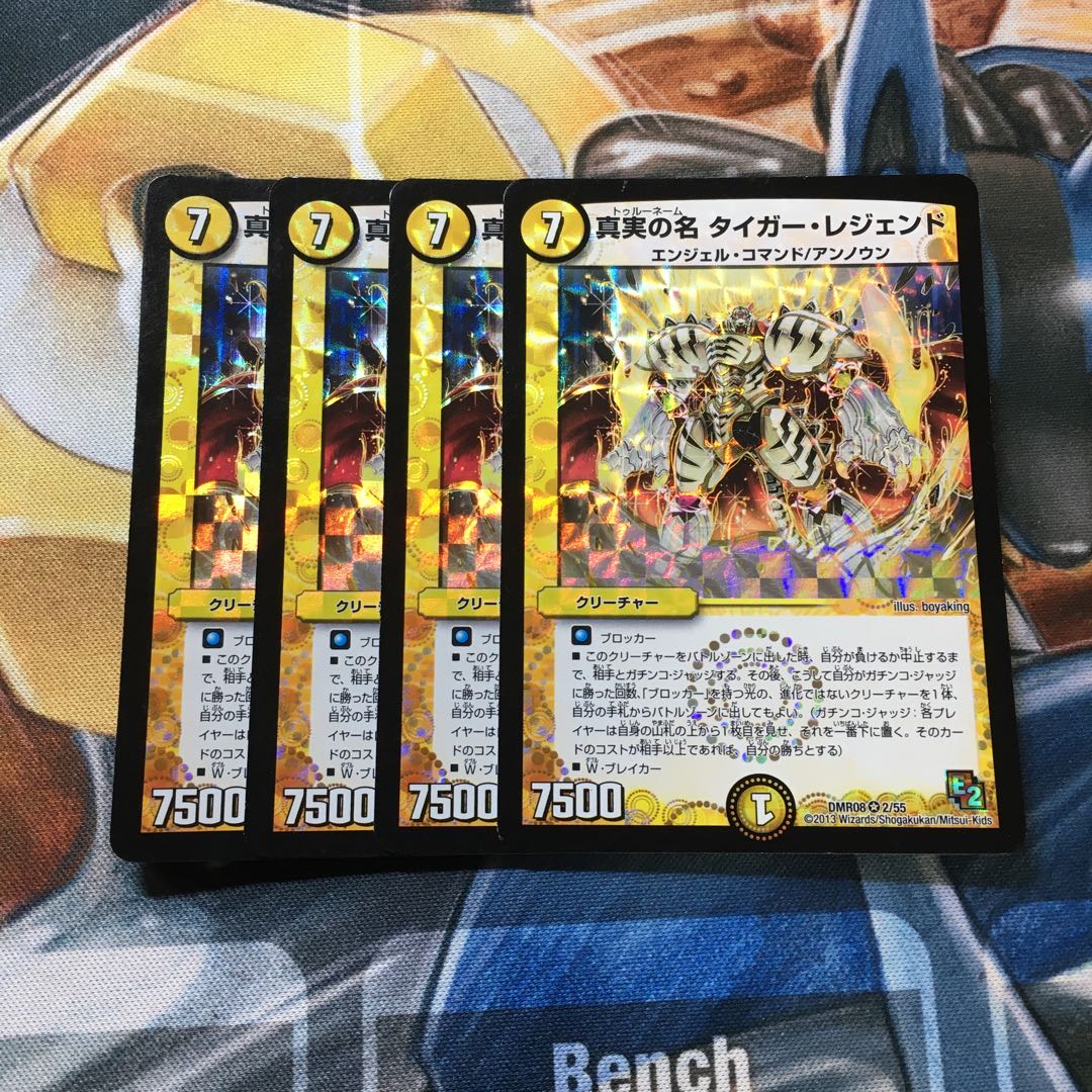 真実の名 タイガー・レジェンド VR