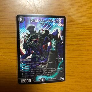 ジョルジュ・バタイユ SR