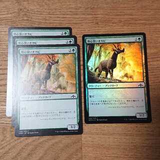 MTG foil コモン 用心深いオカピ 1枚