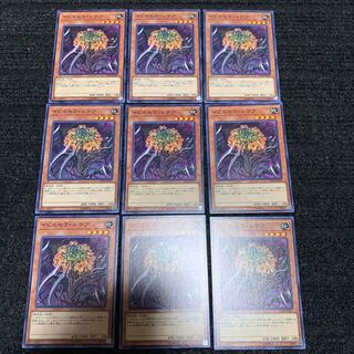 イビルセラ・ルテア ノーマル