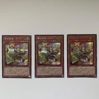 憑依装着-ライナ シークレットレア