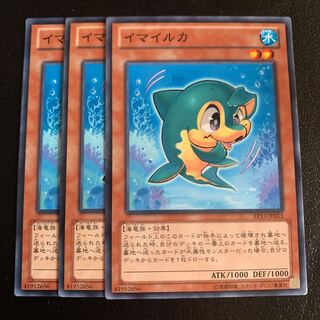 イマイルカ ノーマル