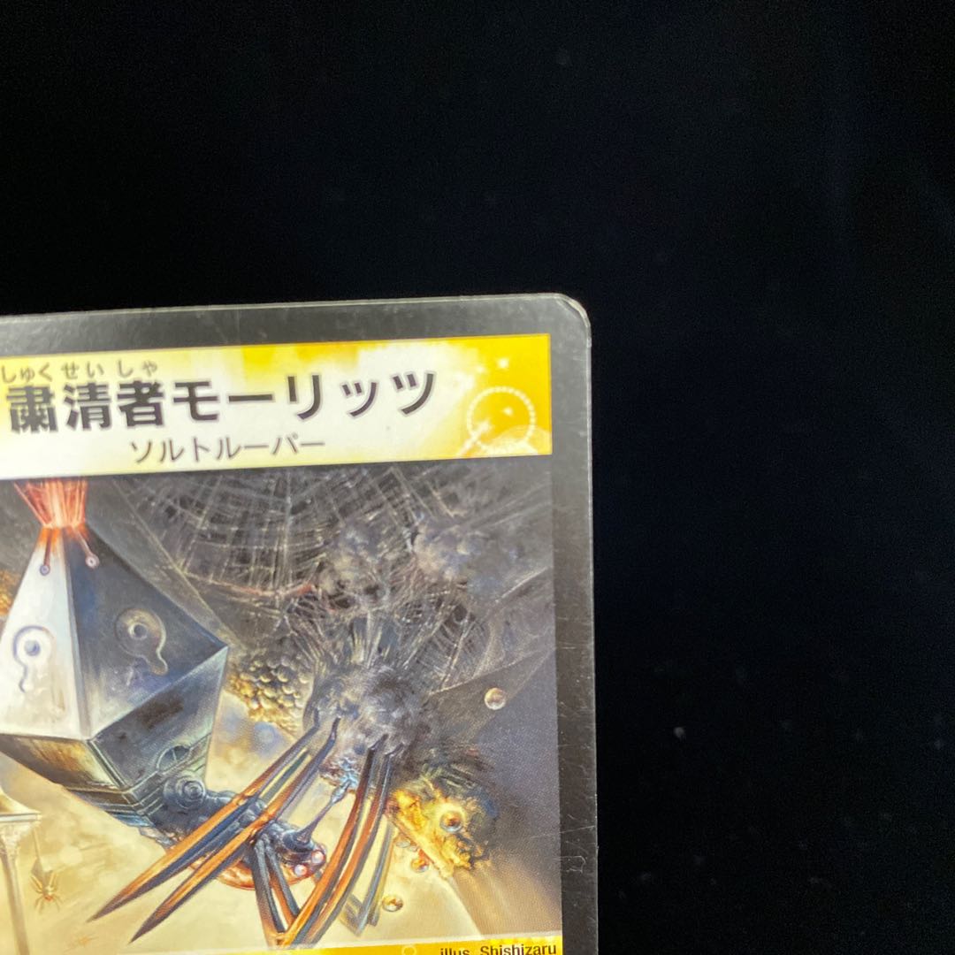 Moritz the Purge R Early