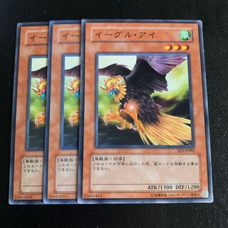 イーグル・アイ