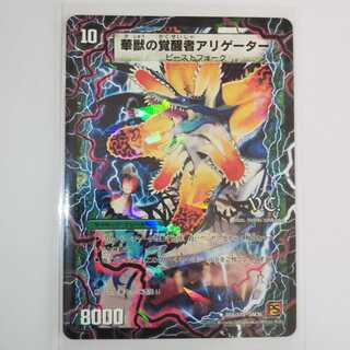 時空の花カイマン/華獣の覚醒者アリゲーター V.C.